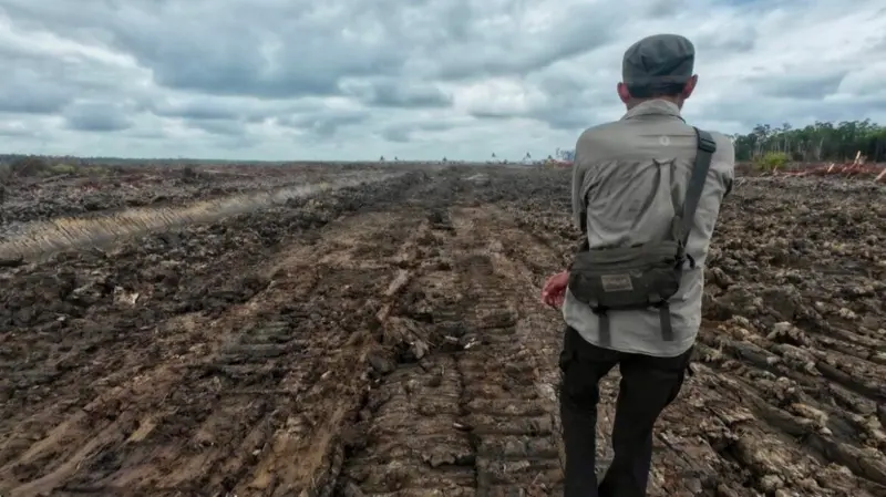 Militer dilibatkan Food Estate di Merauke, masyarakat adat &#039;ketakutan