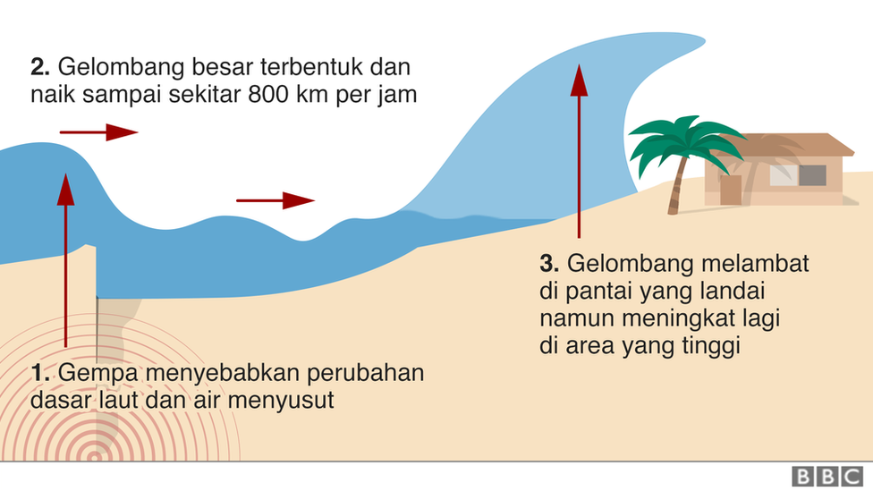 Potensi 'Kutukan' Palu Usai Gempa dan Tsunami ...