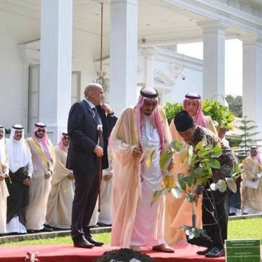 Antara kemewahan Raja Salman dan kebersahajaan Presiden Jokowi