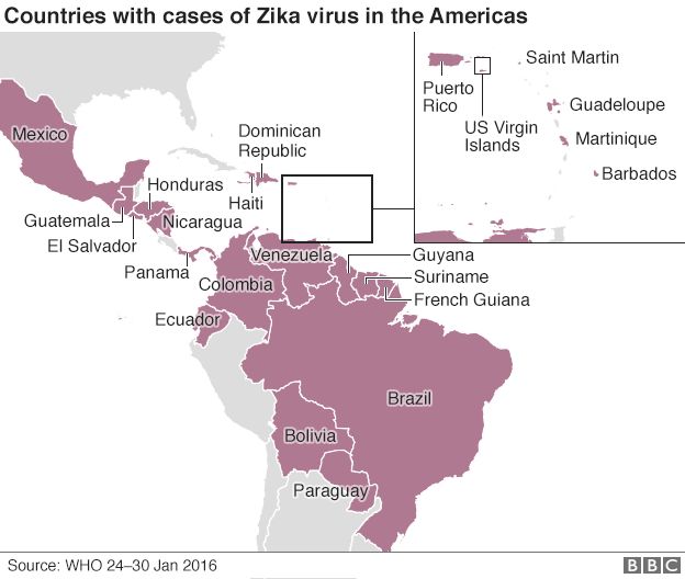 Breaking News: WHO Deklarasikan Virus Zika sebagai Darurat Global! 