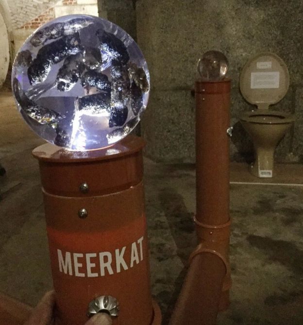 Pertama di Dunia, Museum Kotoran Hewan dan Manusia