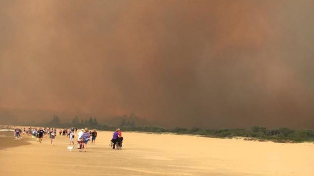 Sedih dan miris, Potret sebelum dan sesudah bencana kebakaran hebat di Australia