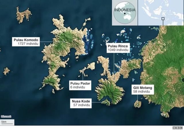 UNESCO kunjungi Labuan Bajo di tengah 'protes' proyek pembangunan di pulau Komodo
