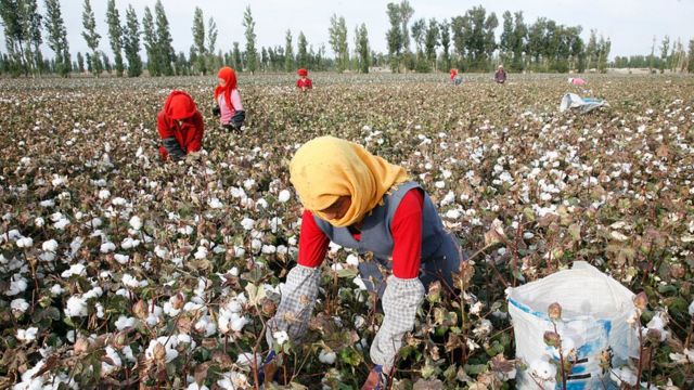 China peringatkan H&M tolak beli kapas dari Xinjiang cuma rugikan diri sendiri