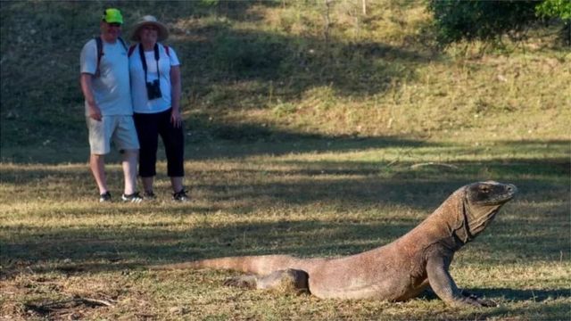 UNESCO kunjungi Labuan Bajo di tengah 'protes' proyek pembangunan di pulau Komodo