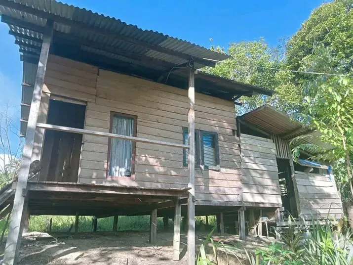 Perayaan HUT RI ke-77 di tengah jerit pengungsi Papua