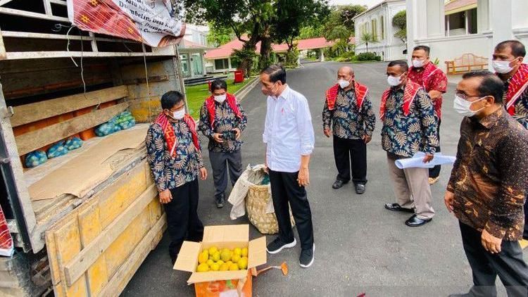 Pembangunan patung Jokowi masyarakat Karo, terima kasih atau 'prasasti' politik?