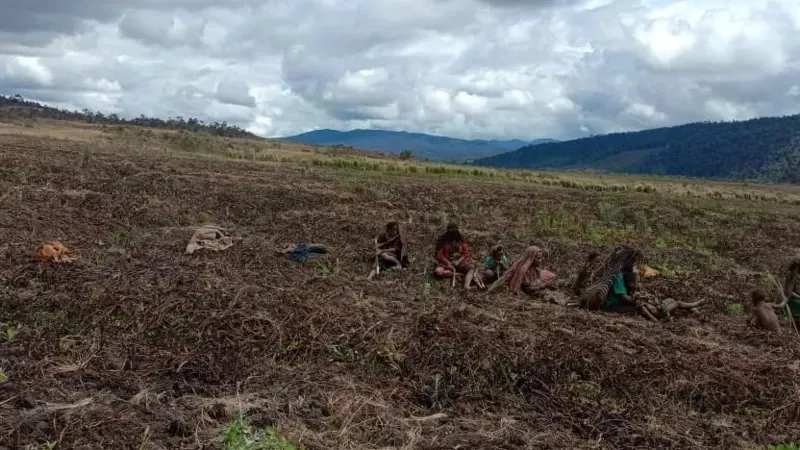 Warga Papua kelaparan hingga pengungsi tapi Jokowi hadiri peluncuran olahraga