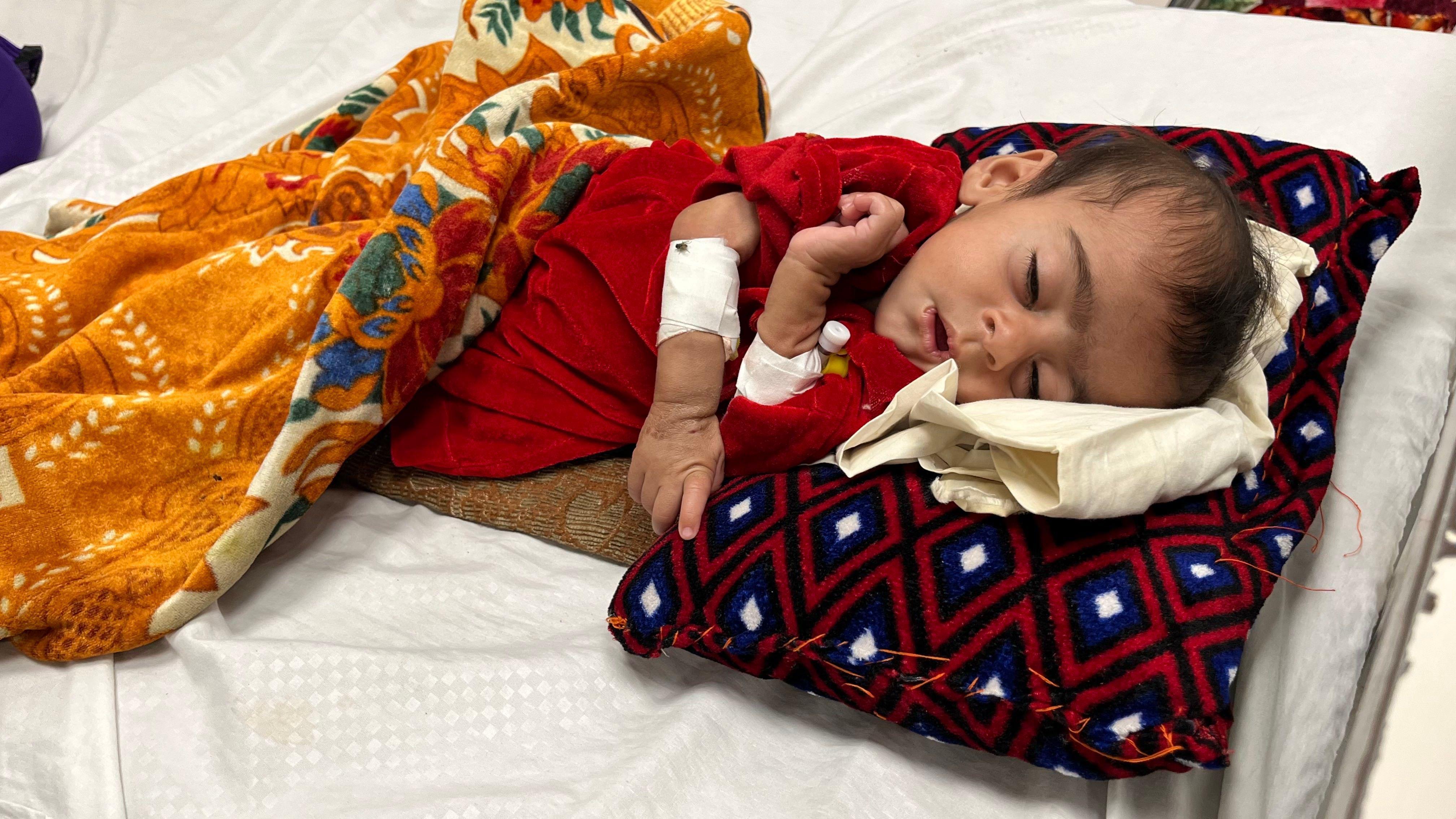 Bencana Kelaparan Landa Afghanistan, 3,2 Juta Bayi Alami Malnutrisi Akut