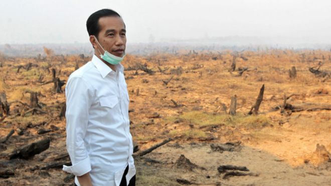greenpeace-bantah-klaim-jokowi