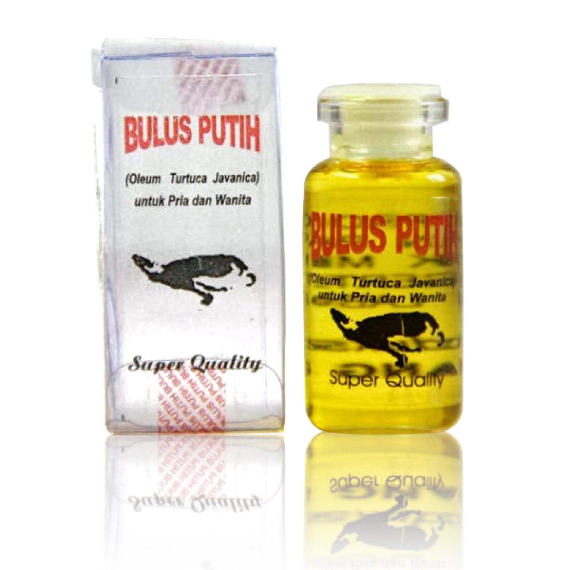 Jual Minyak Bulus Asli Dan Palsu 082223332810