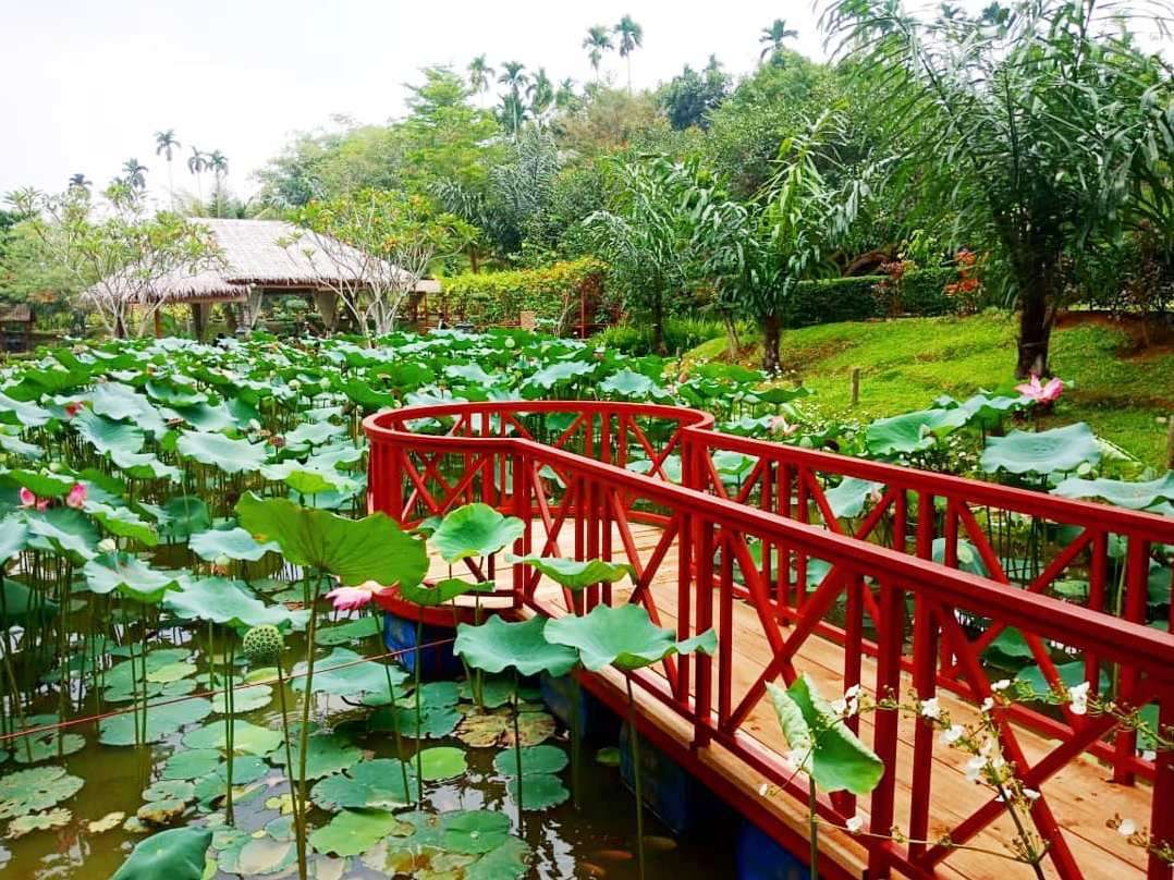 6 Rekomendasi Tempat Wisata Romantis di Medan