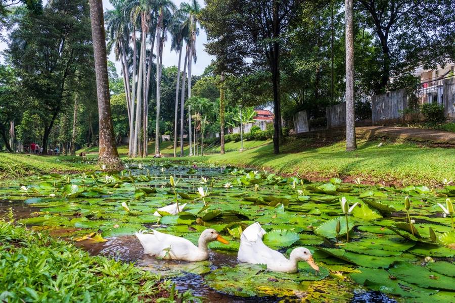 7 Tempat Yang Cocok Untuk healing di Jakarta Buget UMR