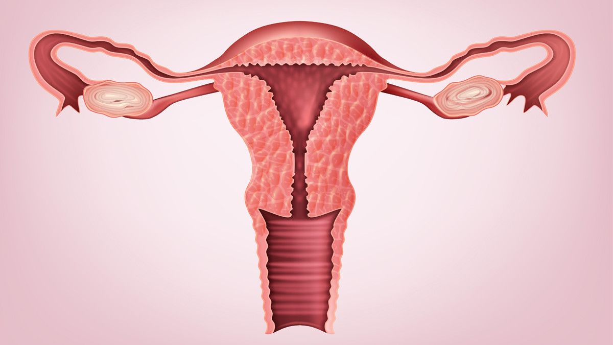Hoax Seputar Menstruasi Bikin Gregetan, Selain Bikin Gak Nyaman Hidung