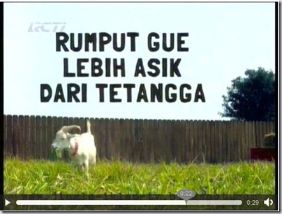 5 Manfaat rumput laut