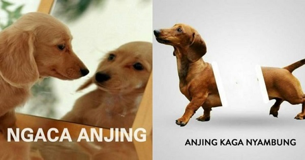 Berkaca pada diri sendiri sebelum membuat sesuatu menjadi kacau (≧∀≦)
