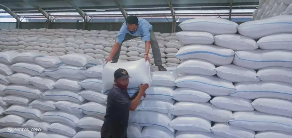 Bos Bulog Ungkap Malaysia Mau Impor 200 Ribu Ton Beras RI