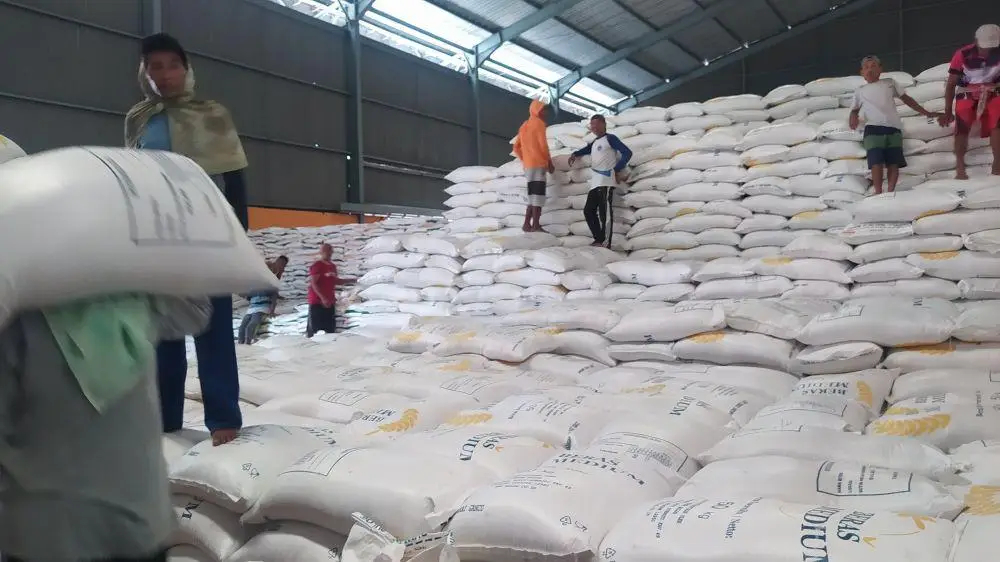 Bos Bulog Ungkap Malaysia Mau Impor 200 Ribu Ton Beras RI