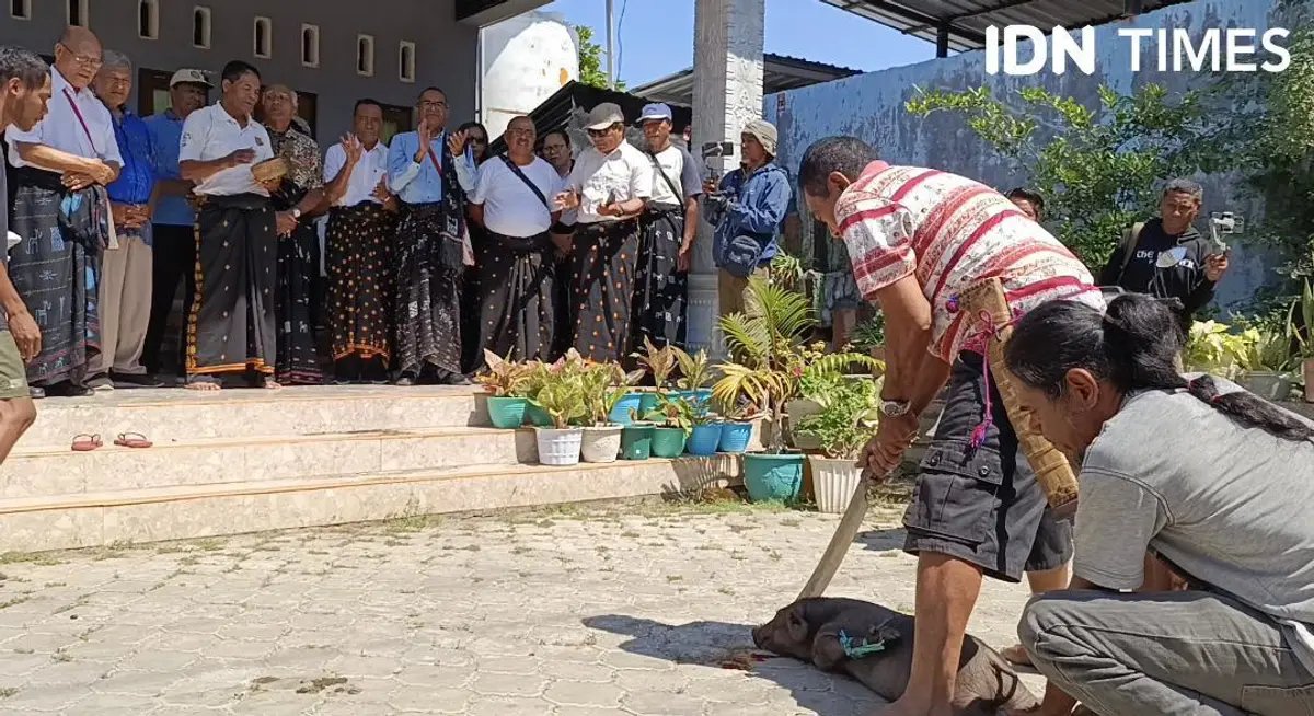 Petisi Tolak Pemecatan Kompol Kosmas Kaju Gae Nyaris Raup Ratusan Ribu Dukungan