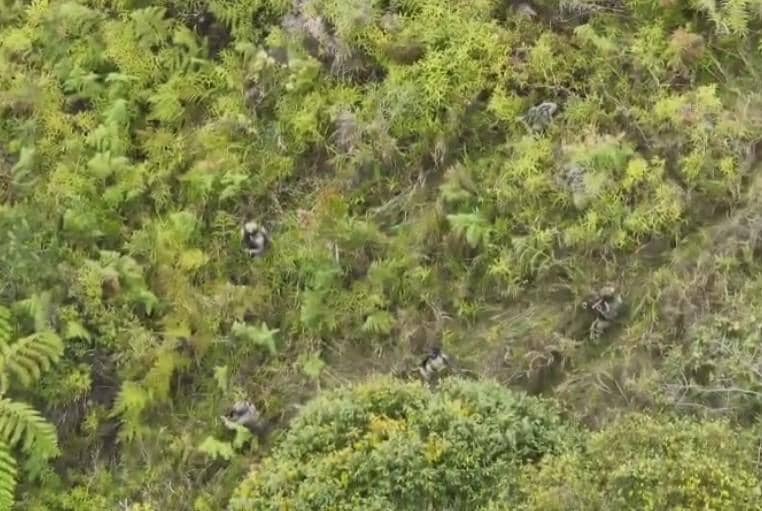 KKB Tembak Pekerja Jalan di Intan Jaya, Satu Tewas