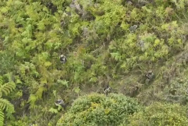 KKB Tembak Pekerja Jalan di Intan Jaya, Satu Tewas