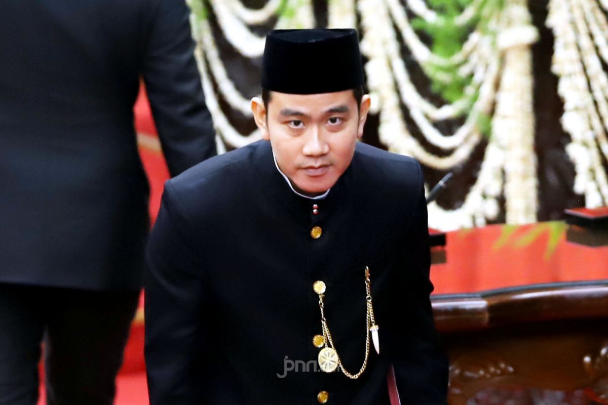 ina-liem-bongkar-celah-birokrasi-pendidikan-di-balik-polemik-ijazah-gibran