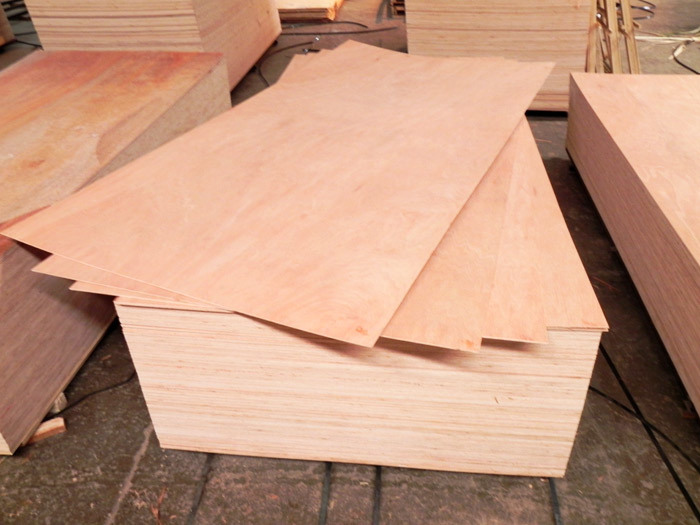 Proses Pembuatan Kayu Lapis / Plywood