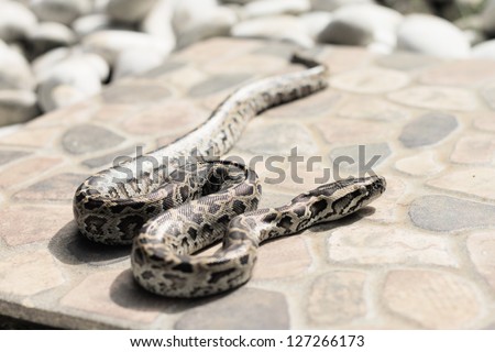 diskusi-bisnis-stock---microstock-photography