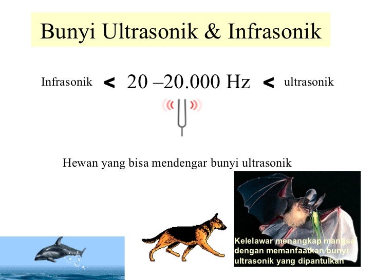 .:: Fenomena “SUARA” Misterius Dari Ruang Angkasa::.