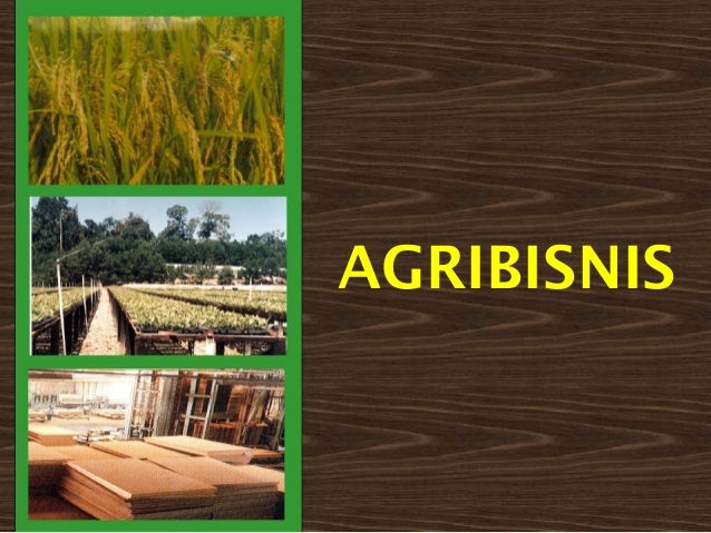 &#91;INSPIRATIF&#93; Triyono, keterbatasan fisik tak halangi ciptakan perusahaan agribisnis