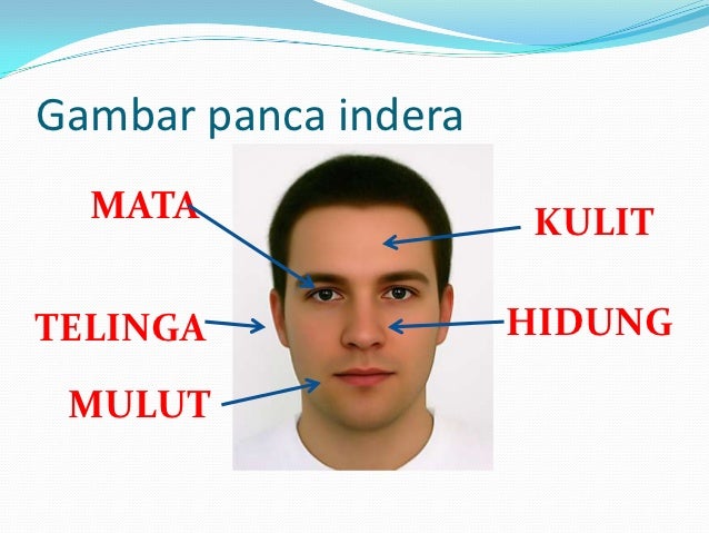 Kesalahan Yang Dianggap Benar Oleh Manusia