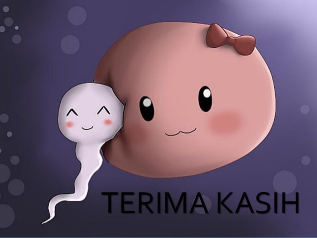 Cegah Kepunahan Burung Enggang Khas Kalimantan TImur dengan Teknologi Reproduksi