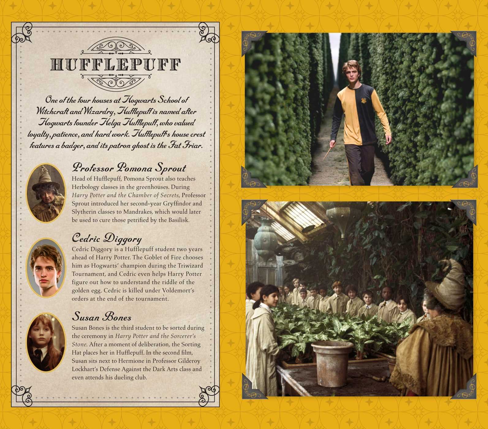 11 Fakta GUuILAAAkK Lak Laak!!! Ada apa dgn NEWT SCAMANDER dan HARRY POTTER????