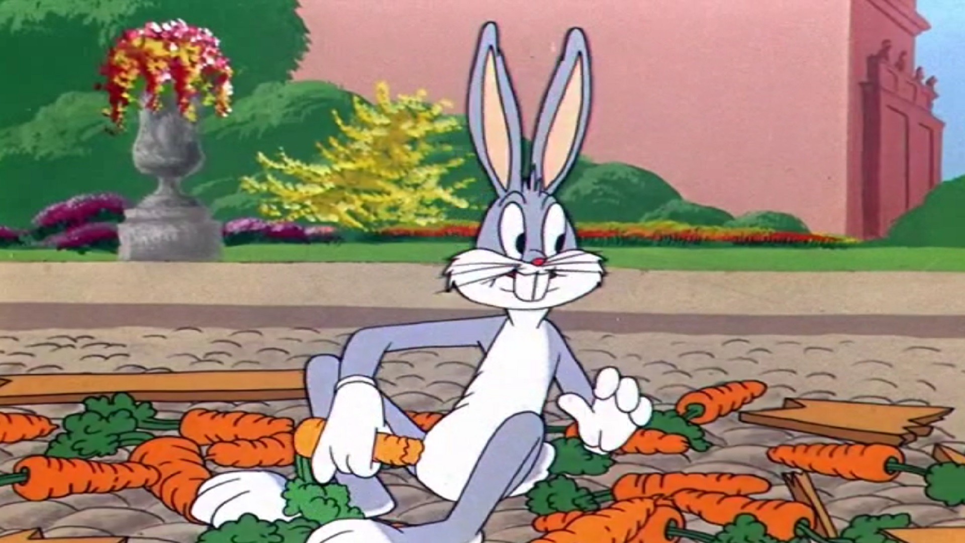 Mengapa kelinci identik dengan wortel?