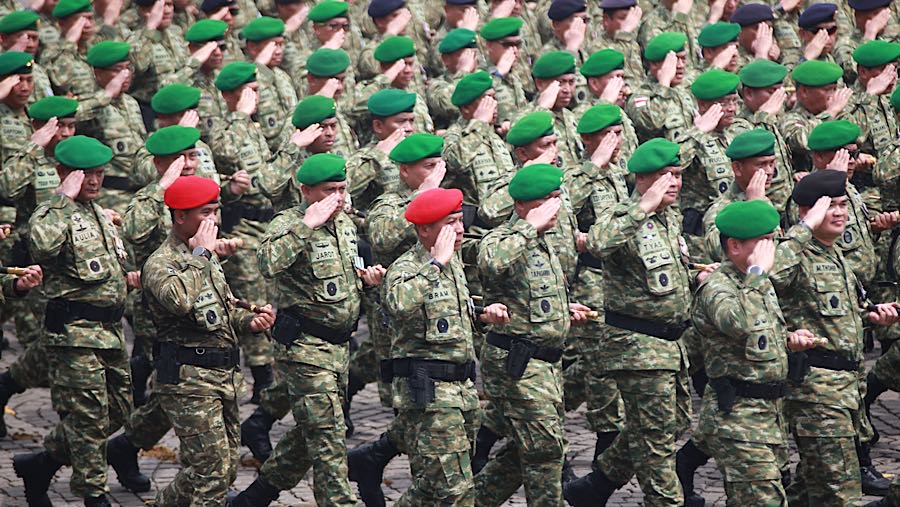 Menhan Ungkap Tugas Baru TNI: AD Tanam Jagung-Padi, AL Kedelai