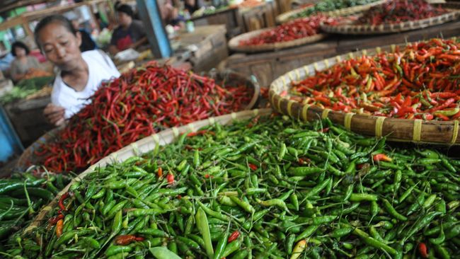 Ini Pasti Salah SBY Lagi, Harga Cabe Tembus Rp120.000/kg Usai BBM Naik!