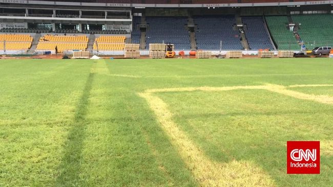 Beginilah Kondisi Lapangan GBK setelah Konser 1D