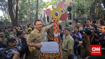 Ahok: Ragunan Banyak Proyek Abal-abal, Saya Punya Fotonya