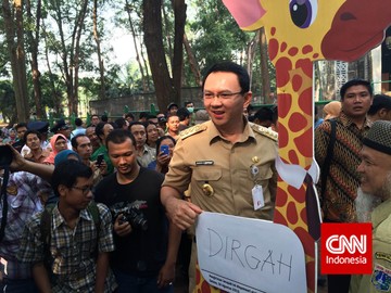 Ahok: Enggak Usah Ijazah, yang Penting Kerja