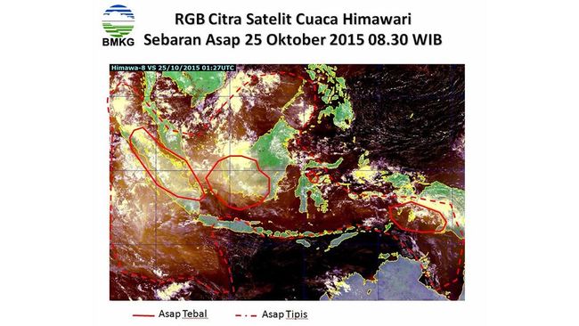 BMKG: Asap Tipis Kebakaran Hutan Sudah Menyebar ke Pulau Jawa