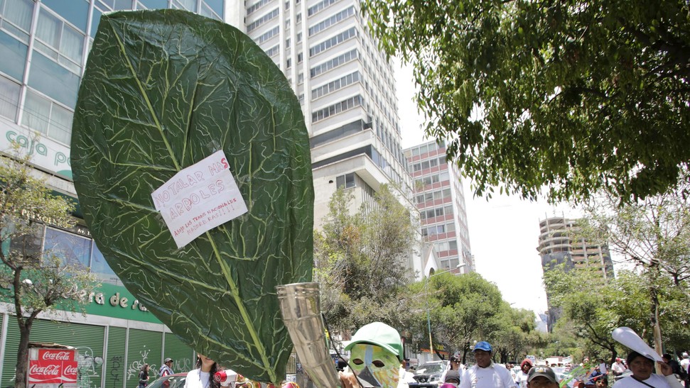 Beberapa FOTO Protes Perubahan IKLIM