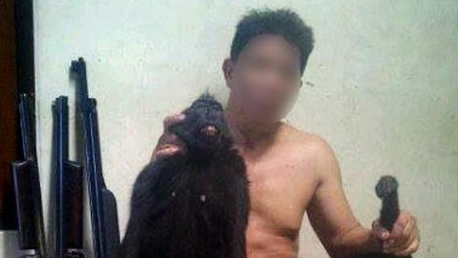 Tangkap Monyet Langka Lalu Pajang di Facebook, Profesor Dipolisikan BKSDA