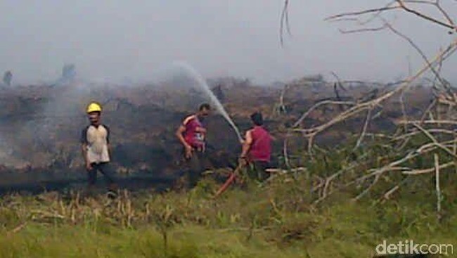 Menanti Vonis Tuntutan Rp 7,8 Triliun di Kasus Kebakaran Hutan Sumsel