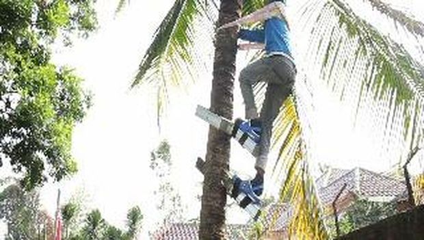 Dua orang siswa yang masih duduk di bangku SD menemukan alat pemanjat pohon kelapa ya