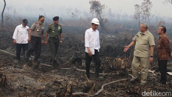 Presiden Jokowi Tembus Hutan yang Hangus di Dusun Garonggang Sumsel