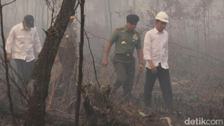 Presiden Jokowi Tembus Hutan yang Hangus di Dusun Garonggang Sumsel