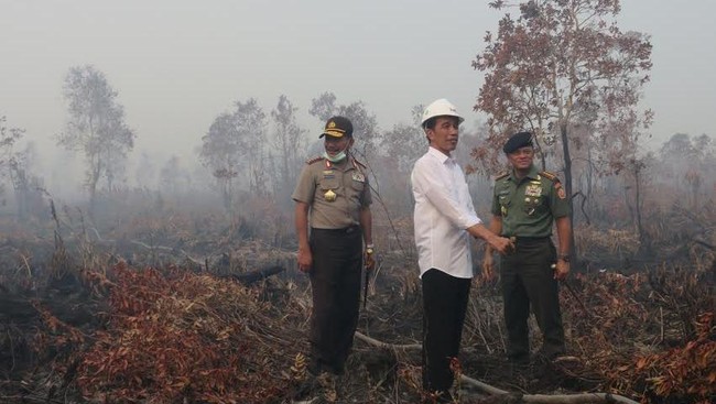 &#91;+SEBAB&amp;SOLUSI&#93; - Tanggapi Bencana Asap, Jokowi Akan Datangi Riau dan Jambi