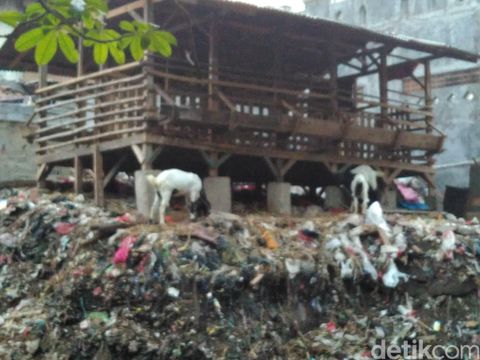 Ngeri! Sampah 10 Meter di Sungai Cipinang Ini Menumpuk Sejak 30 Tahun Lalu