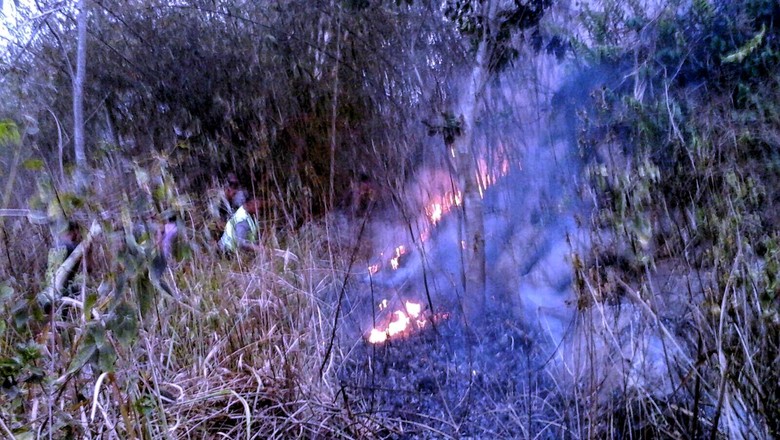 Kebun Sengon Milik Ahok Habis Dilalap si Jago Merah di Sukabumi