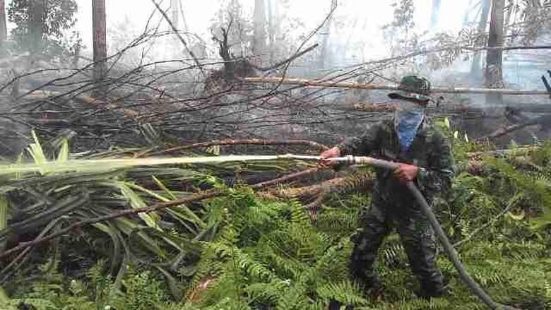 &#91;Lu lagi&#93; DanSatgas Riau: Kebakaran di Kepulauan Meranti dari Ulah Warga Cari Madu
